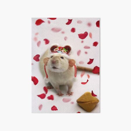 Cupcake ~ Year of the Rat ~ May Fortune Favor the Bold Art Board Print