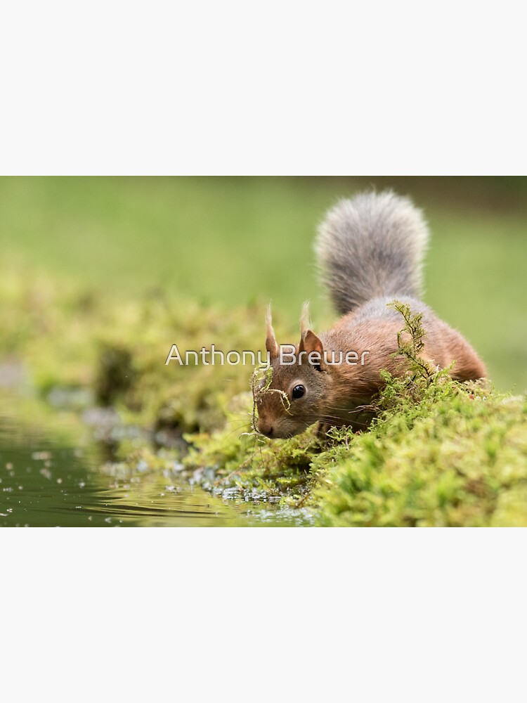 Trying out a new look by dailyanimals