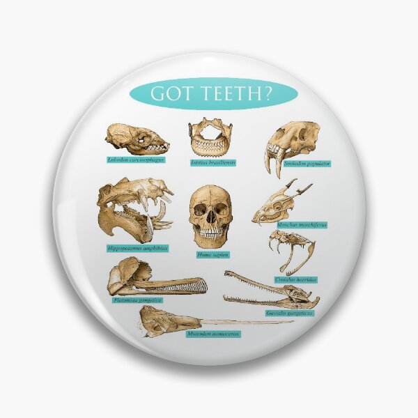 Artikelvorschau, Hast du Zähne? in Blau entworfen und verkauft von DentalHygiene22.