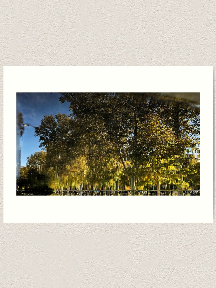 Thumbnail 1 of 3, Art Print, Reflection Tree Pool designed and sold by JmanInABox.