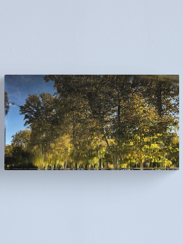 Thumbnail 1 of 3, Canvas Print, Reflection Tree Pool designed and sold by JmanInABox.