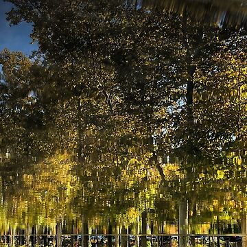 Artwork thumbnail, Reflection Tree Pool by JmanInABox