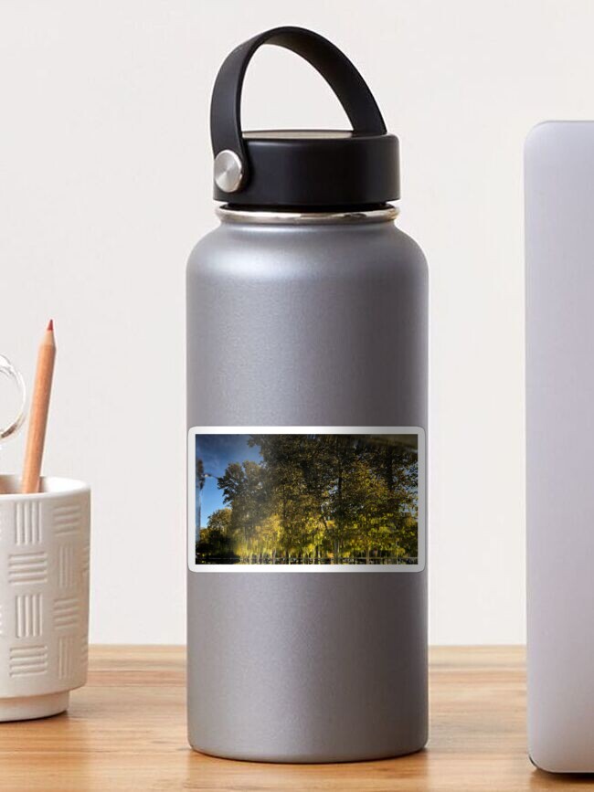 Thumbnail 1 of 3, Sticker, Reflection Tree Pool designed and sold by JmanInABox.