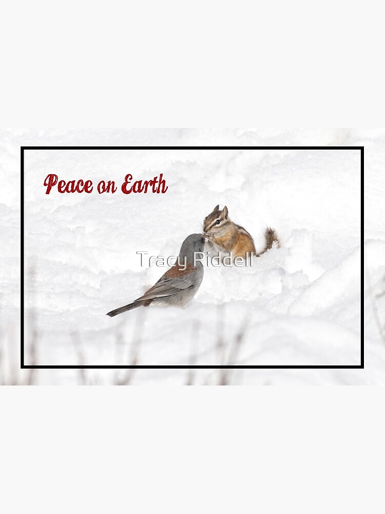 Peace on Earth by taos