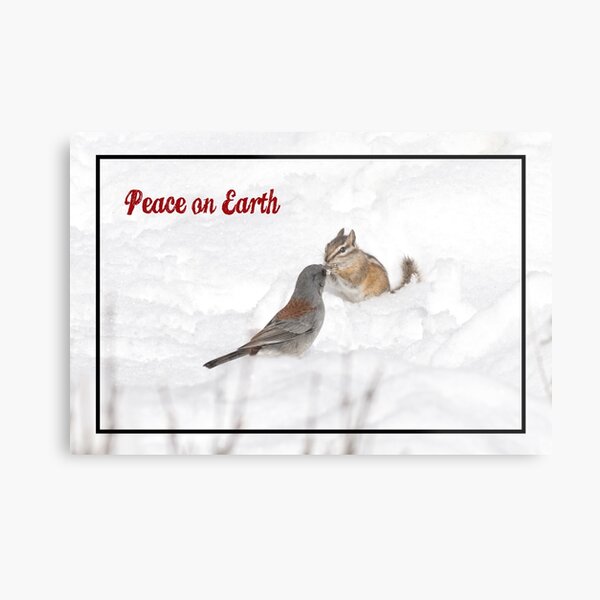 Peace on Earth Metal Print