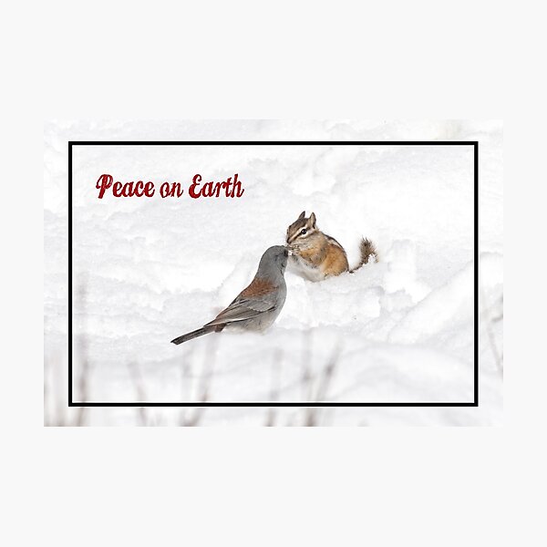 Peace on Earth Photographic Print