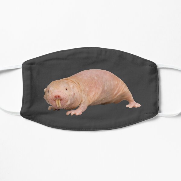 Naked Mole Rat Face Masks Redbubble Naked Mole Rat Face Masks Redbubble