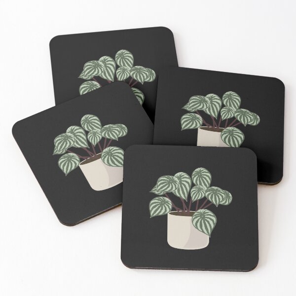 Item preview, Peperomia Argyreia designed and sold by missfleur.