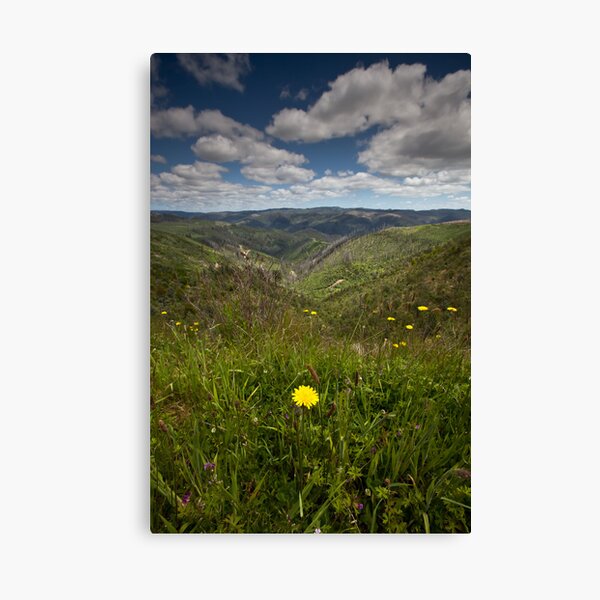 Grand view Canvas Print