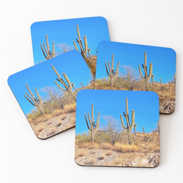 Aperçu de l'œuvre Arizona Cacti créée et vendue par Dutchie81.