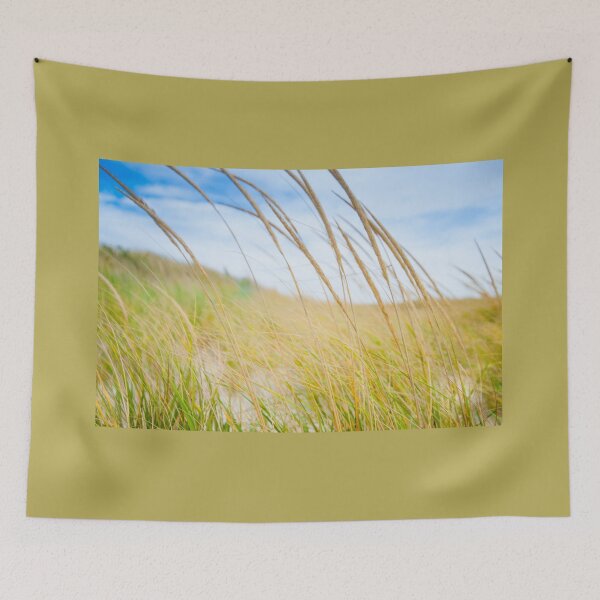 Item preview, Abstract effect Marram grass blowing in wind.  imagine this on a  card or gracing your room as wall art fine art canvas or framed print on your wall designed and sold by Brian Scantlebury.