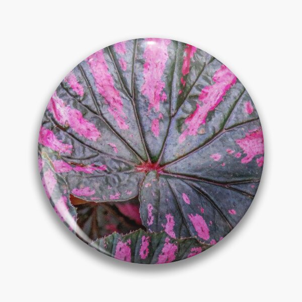 Item preview, Variagated Leaves designed and sold by wallarooimages.