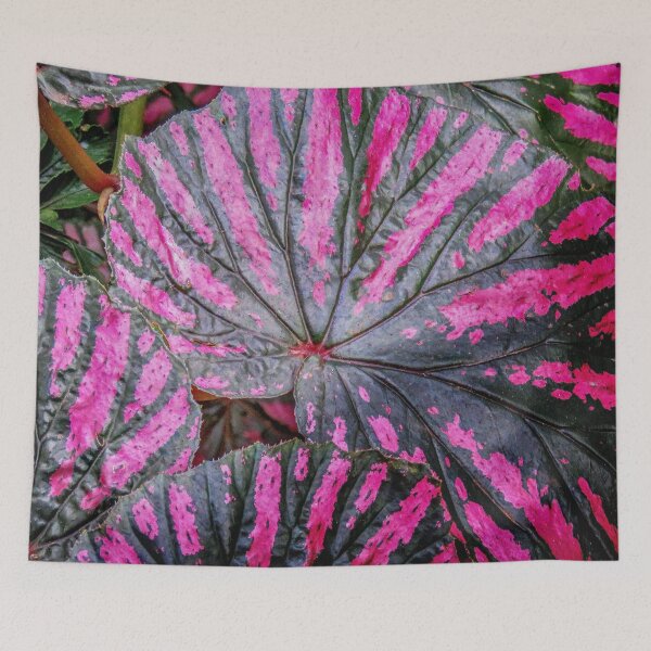 Item preview, Variagated Leaves designed and sold by wallarooimages.