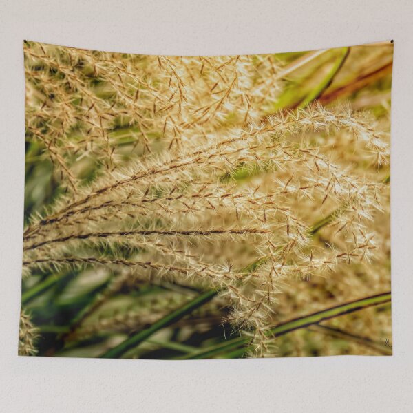 Item preview, Blown Away designed and sold by wallarooimages.