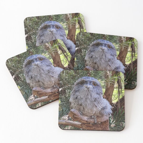 Item preview, Tawny Frogmouth designed and sold by Dutchie81.