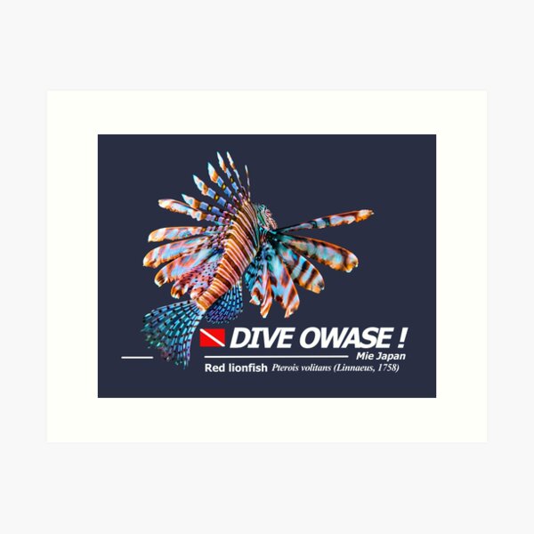 Cut-out Lionfish Print Dive Owase Art Print
