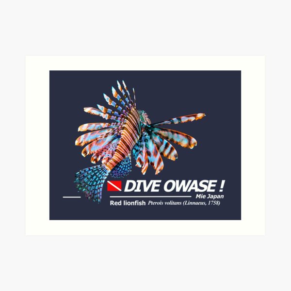 Cut-out Lionfish Print Dive Owase Art Print