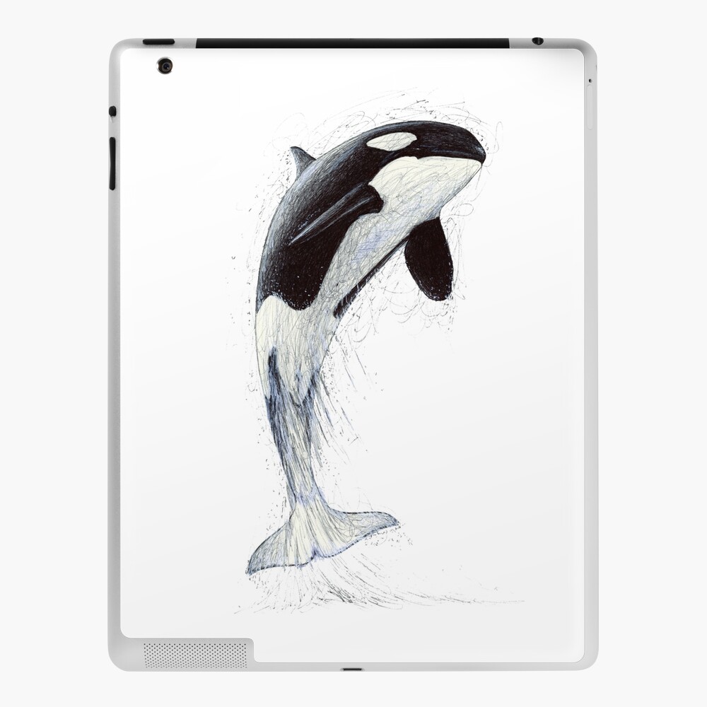 How to draw a killer whale jumping | Step by step Drawing tutorials