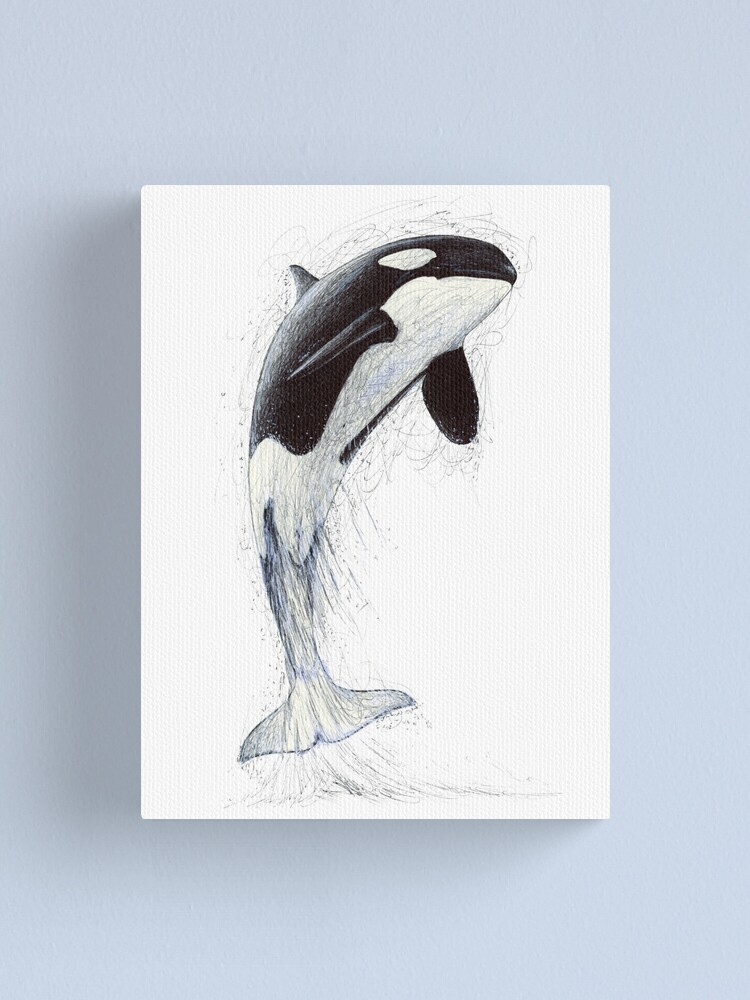 Realistic illustration of orca whale vector... - Stock Illustration  [103590583] - PIXTA