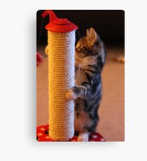 Pole Cat Canvas Print
