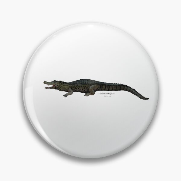 Item preview, Caiman wannlangstoni designed and sold by Martinhoat.