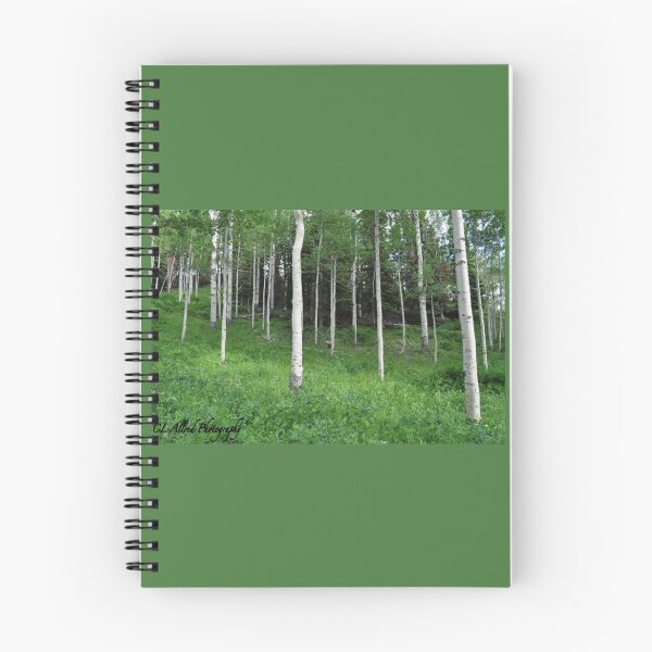 Item preview, "Quakes" Manti-La Sal National Forest designed and sold by CL Allred Photography.