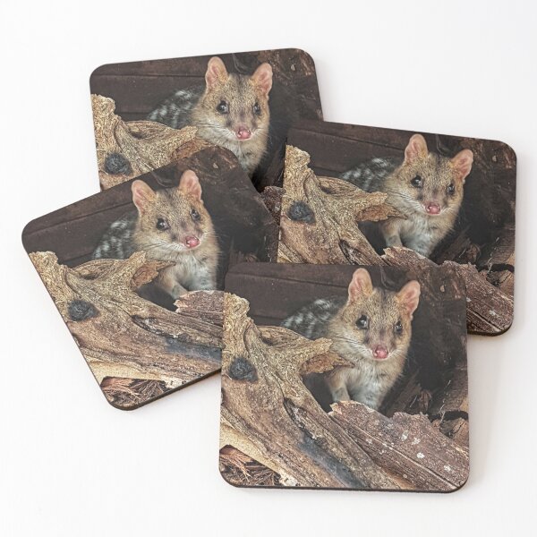 Item preview, Eastern Spotted Quoll, Tasmania designed and sold by Dutchie81.