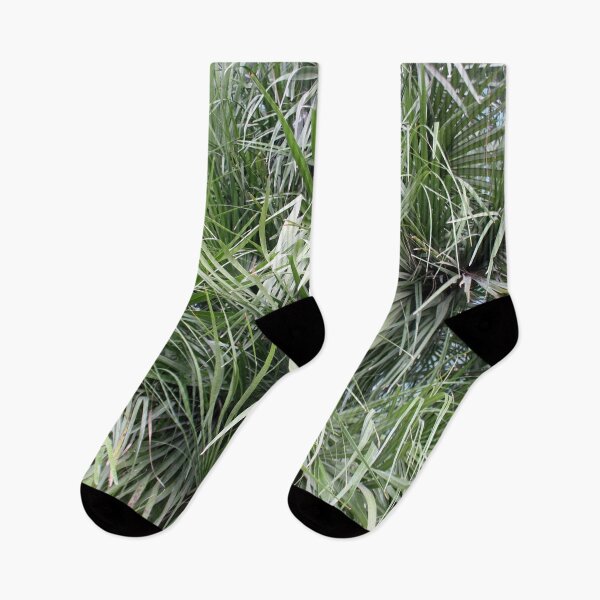 Item preview, Plethora Of Palm Fronds Abstract Photography designed and sold by taiche.