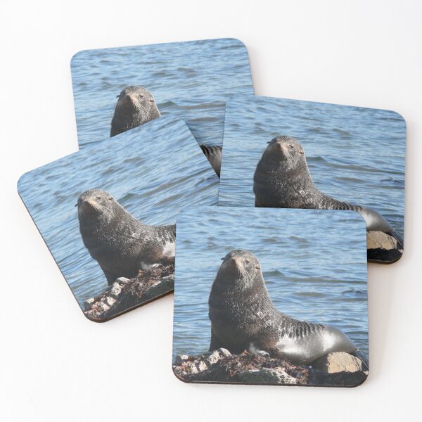Item preview, New Zealand Fur Seal designed and sold by David Thompson.
