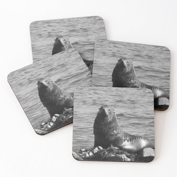 Item preview, New Zealand Fur Seal - BW designed and sold by David Thompson.