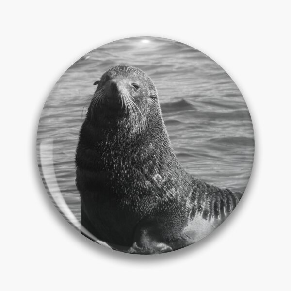 Item preview, New Zealand Fur Seal - BW designed and sold by David Thompson.