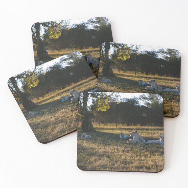 Item preview, A group of lions gathered and relaxing in the savannah designed and sold by Carmen Jost.