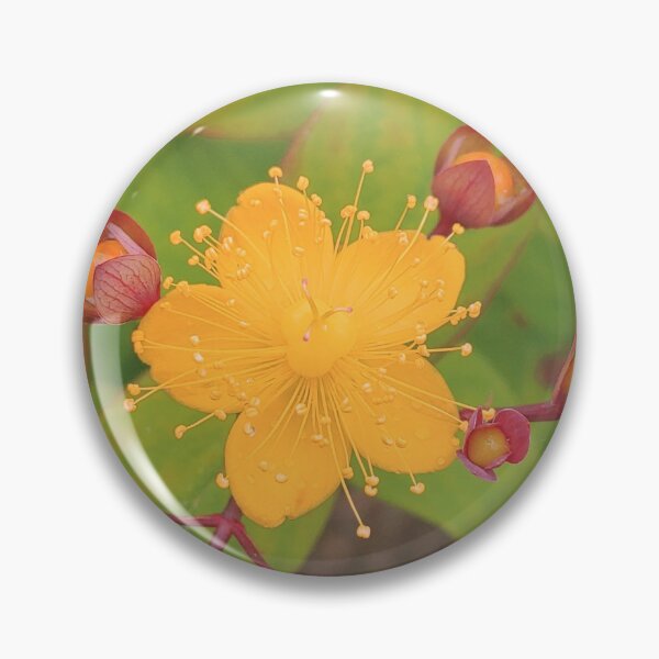 Item preview, Contrasting Flowers designed and sold by Harley-Queen.