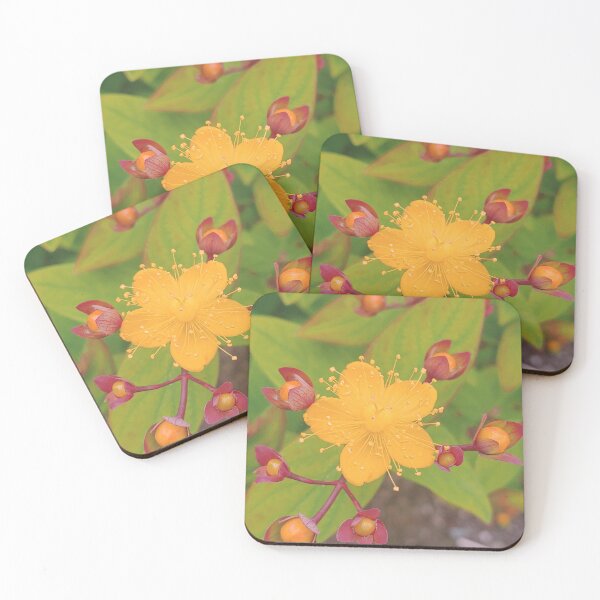 Item preview, Contrasting Flowers designed and sold by Harley-Queen.