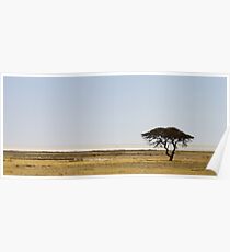 Etosha Poster