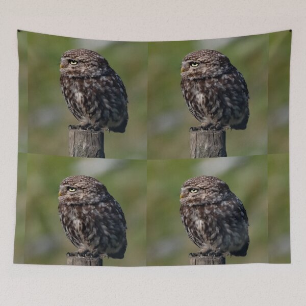 Item preview, little owl designed and sold by tammy mellor.