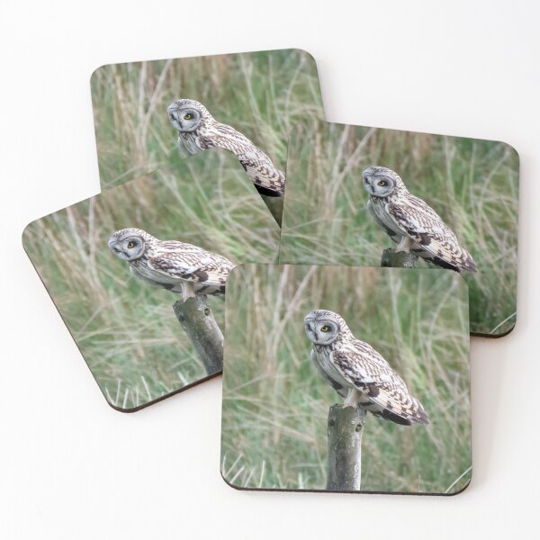 Item preview, short eared owl designed and sold by tammy mellor.