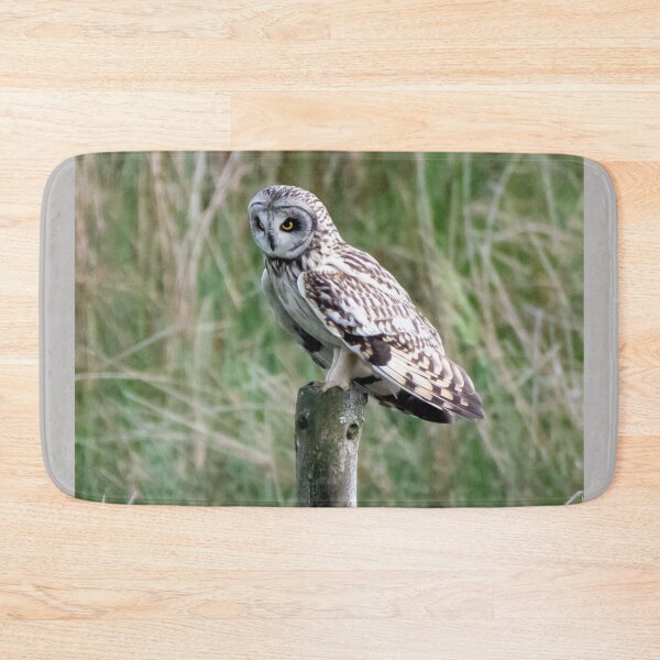 Item preview, short eared owl designed and sold by tammy mellor.