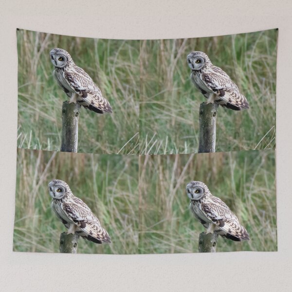 Item preview, short eared owl designed and sold by tammy mellor.