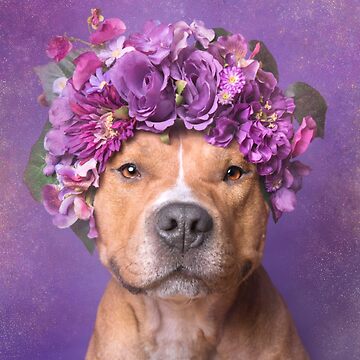 Artwork thumbnail, Flower Power, JD by SophieGamand
