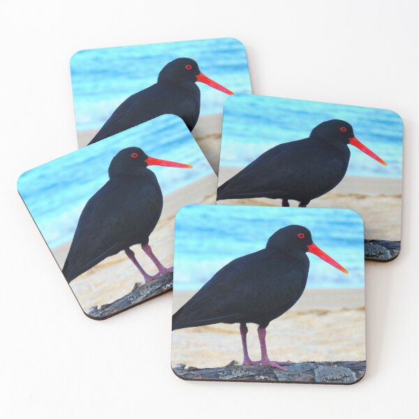 Item preview, Oystercatcher designed and sold by thebirdemic.
