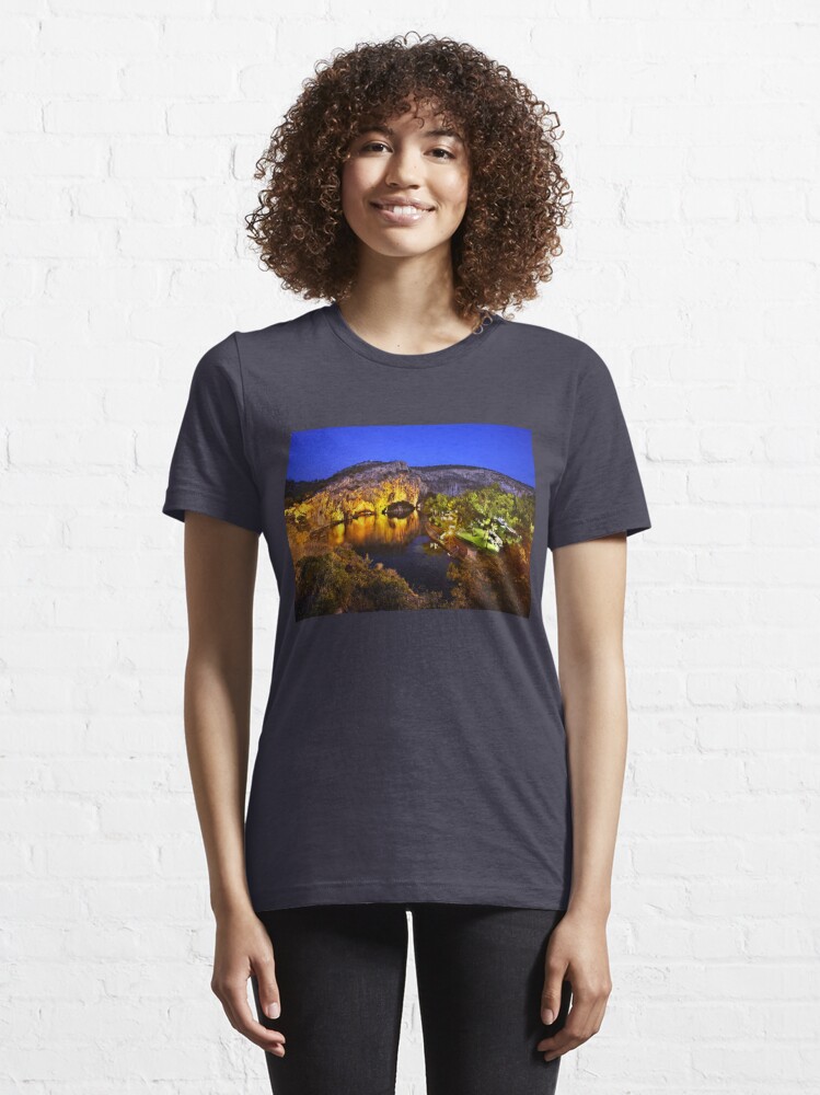 https://ih1.redbubble.net/image.1310562086.7677/ssrco,slim_fit_t_shirt,womens,322e3f:696a94a5d4,front,tall_three_quarter,750x1000.jpg