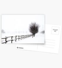 The Magic of Snow Postcards