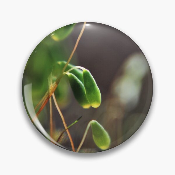 Item preview, Moss Capsules designed and sold by Kathleen Daley.
