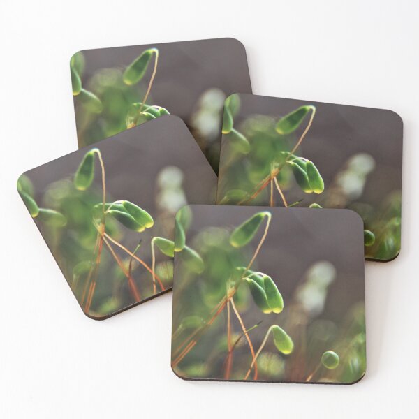 Item preview, Moss Capsules designed and sold by Kathleen Daley.