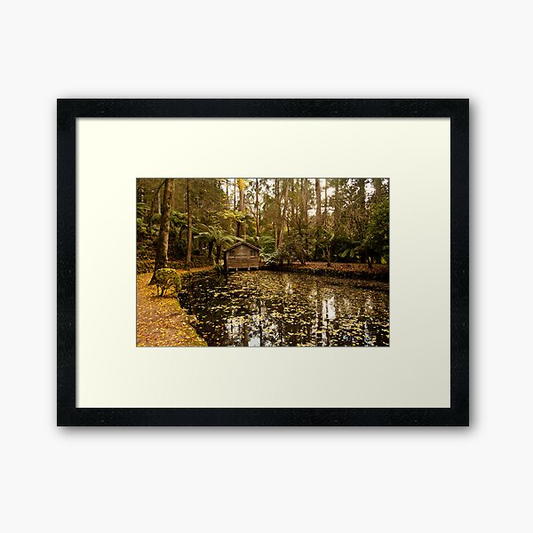 Item preview, Alfred Nicholas Gardens 2 designed and sold by Danielle  Miner.