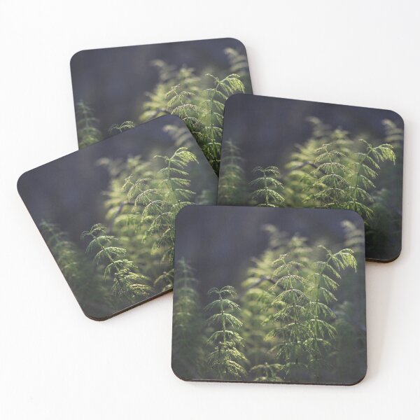 Item preview, Meadow Horsetail Fern designed and sold by Kathleen Daley.