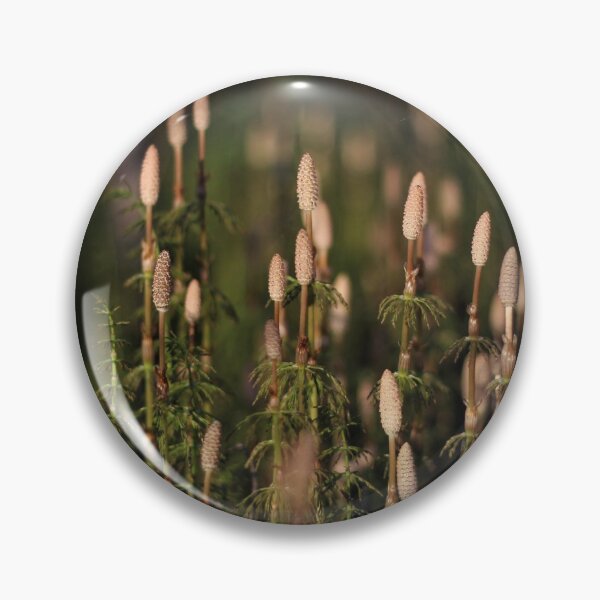 Item preview, Meadow Horsetail Fern II designed and sold by Kathleen Daley.