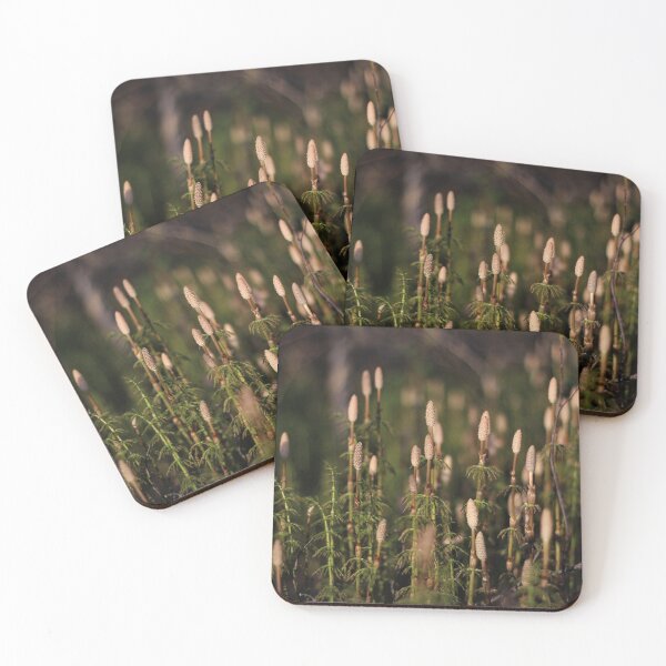 Item preview, Meadow Horsetail Fern II designed and sold by Kathleen Daley.