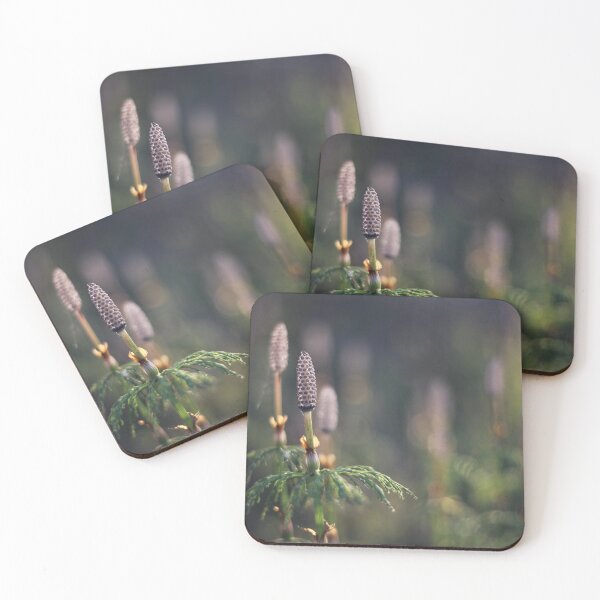 Item preview, Meadow Horsetail Fern III designed and sold by Kathleen Daley.